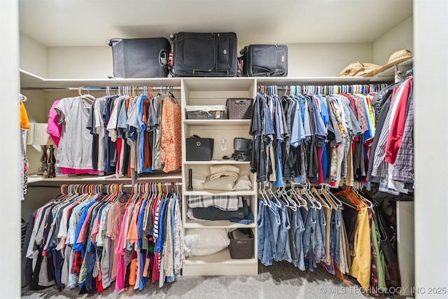 11210 W 178th St, Skiatook, OK 74070 - walk in closet featuring carpet floors