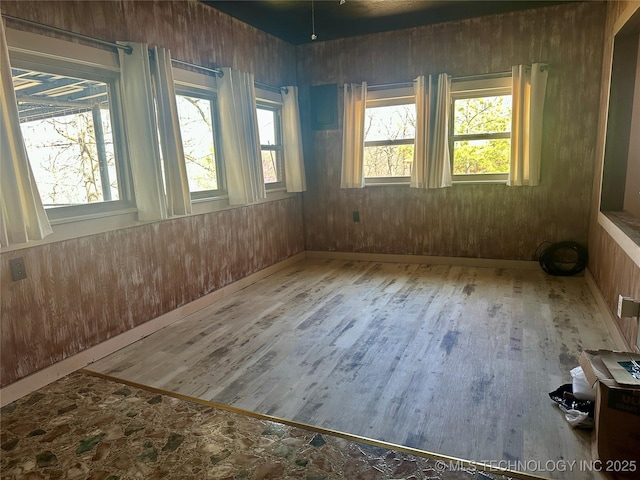 empty room featuring wood finished floors and a wealth of natural light