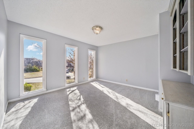 6924 S Knoxville Ave, Tulsa, OK 74136 - carpeted spare room with healthy amount of natural light and a textured ceiling