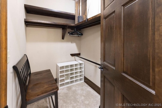 spacious closet featuring light colored carpet