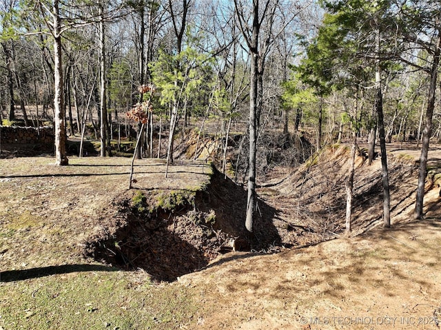 117700 S 4214th Rd, Eufaula, OK 74432 - view of yard