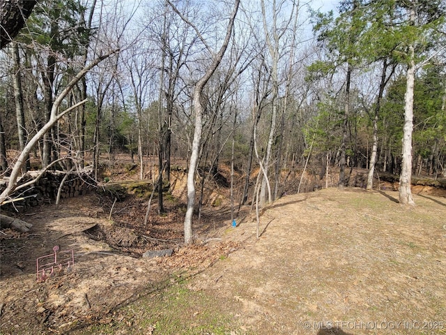 117700 S 4214th Rd, Eufaula, OK 74432 - view of yard