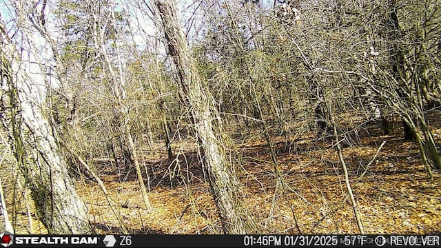 117700 S 4214th Rd, Eufaula, OK 74432 - view of local wilderness