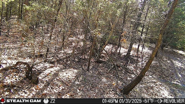 117700 S 4214th Rd, Eufaula, OK 74432 - view of woods