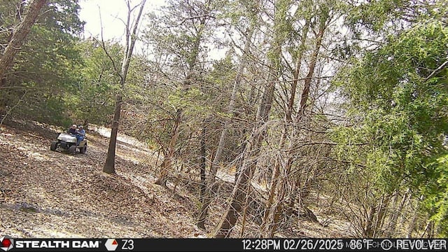 117700 S 4214th Rd, Eufaula, OK 74432 - view of undeveloped land