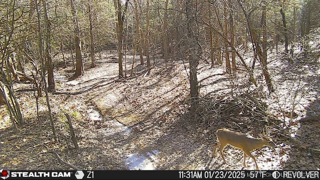 117700 S 4214th Rd, Eufaula, OK 74432 - view of nature