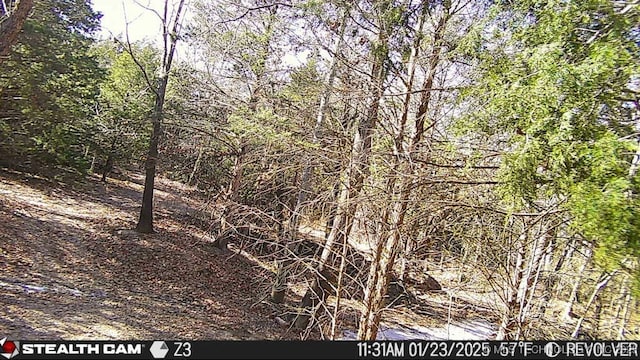 117700 S 4214th Rd, Eufaula, OK 74432 - view of woods