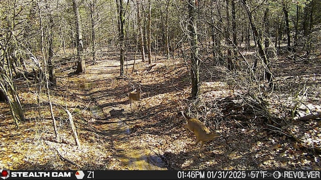 117700 S 4214th Rd, Eufaula, OK 74432 - view of nature