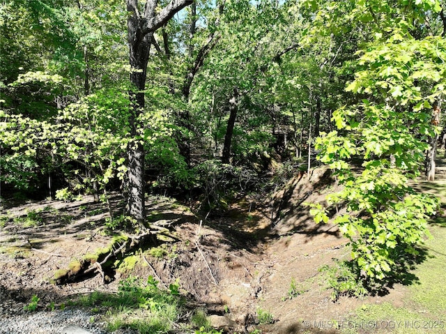 117700 S 4214th Rd, Eufaula, OK 74432 - view of nature