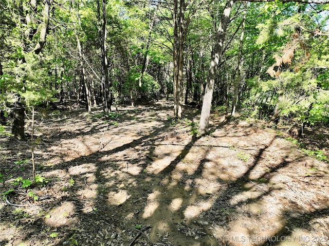 117700 S 4214th Rd, Eufaula, OK 74432 - view of woods