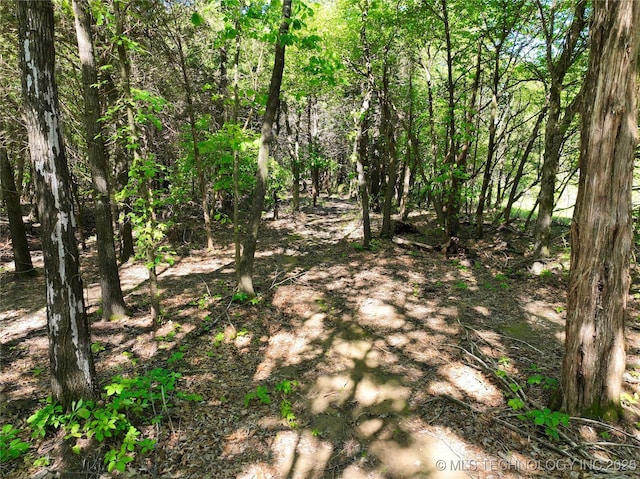 117700 S 4214th Rd, Eufaula, OK 74432 - view of tree filled area