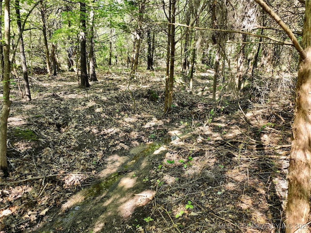 117700 S 4214th Rd, Eufaula, OK 74432 - view of woods