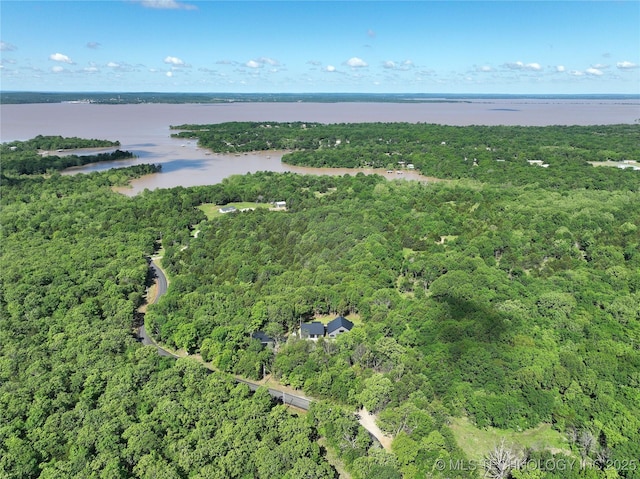 117700 S 4214th Rd, Eufaula, OK 74432 - view of property location with a heavily wooded area and a large body of water