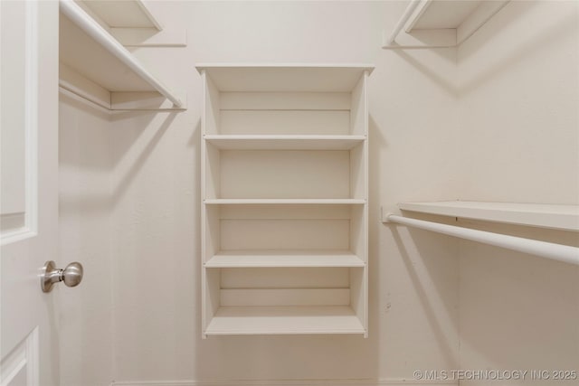 view of spacious closet