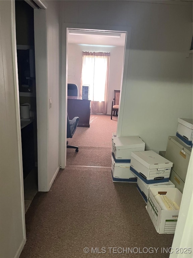 hallway featuring carpet floors