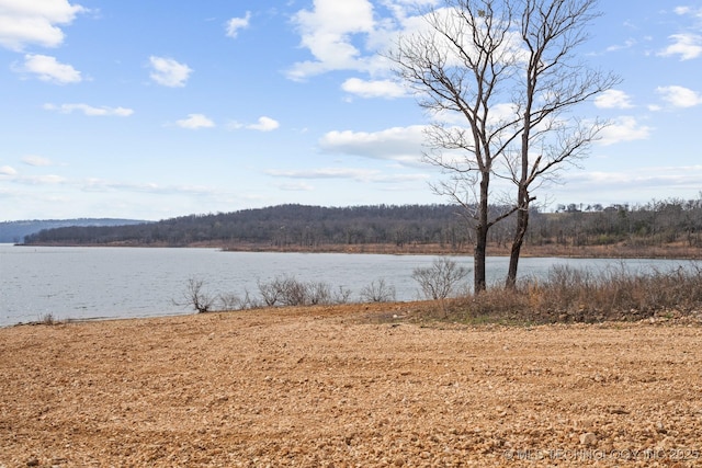 35249 S 489, Park Hill, OK 74451 - photo 13
