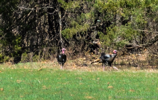 358653 E 5700th Rd, Jennings, OK 74038 - view of nature