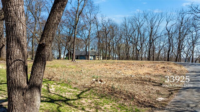 33925 S Coves Dr, Afton, OK 74331 - photo 11