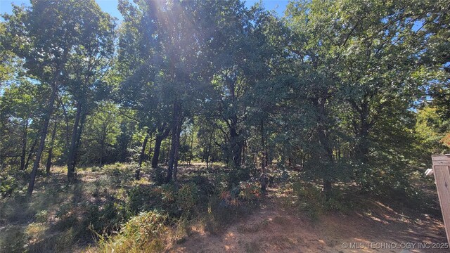 6111 County Road 3605, Ada, OK 74820 - view of local wilderness featuring a wooded view