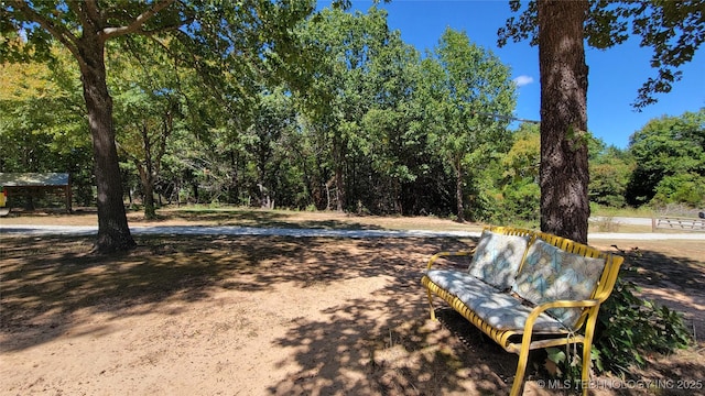 6111 County Road 3605, Ada, OK 74820 - view of property's community