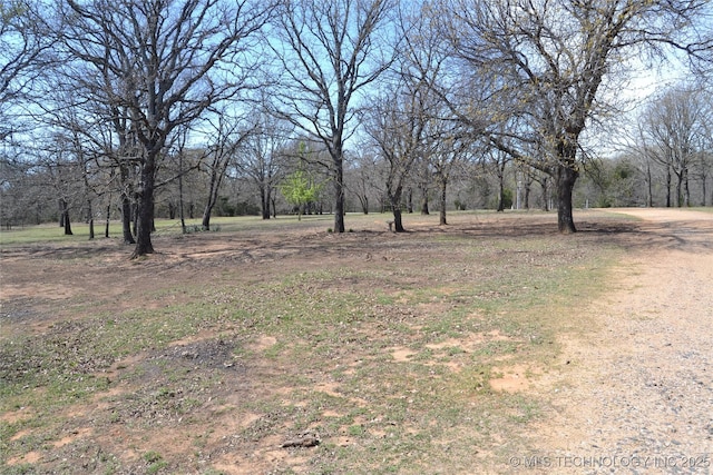 17414 Bridgeview Rd, Madill, OK 73446 - view of yard