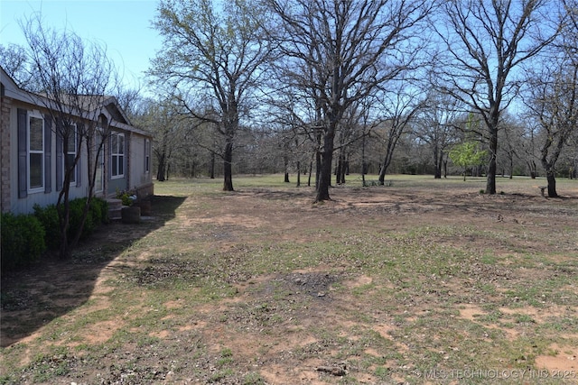 17414 Bridgeview Rd, Madill, OK 73446 - view of yard
