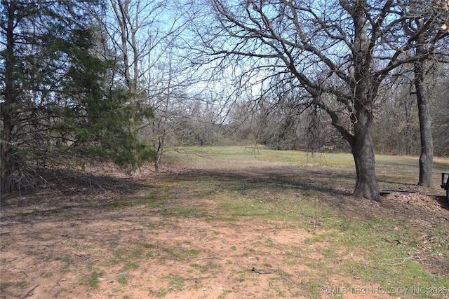 17414 Bridgeview Rd, Madill, OK 73446 - view of yard