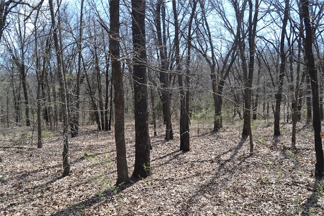 17414 Bridgeview Rd, Madill, OK 73446 - view of local wilderness featuring a view of trees
