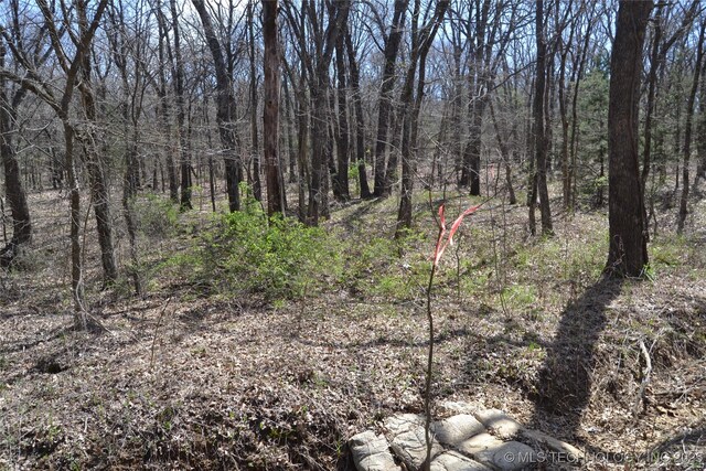 17414 Bridgeview Rd, Madill, OK 73446 - view of nature featuring a forest view