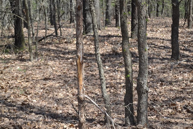 17414 Bridgeview Rd, Madill, OK 73446 - view of local wilderness