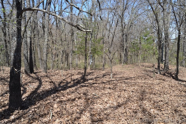 17414 Bridgeview Rd, Madill, OK 73446 - view of nature with a view of trees