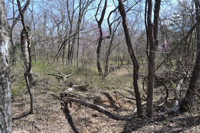 17414 Bridgeview Rd, Madill, OK 73446 - view of local wilderness featuring a forest view