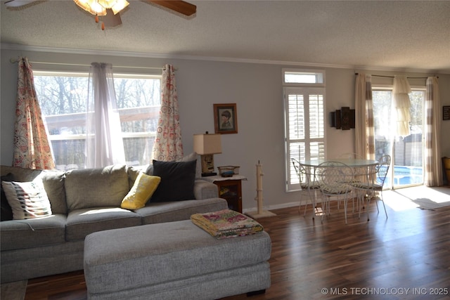 17414 Bridgeview Rd, Madill, OK 73446 - living room featuring plenty of natural light, a textured ceiling, and wood finished floors