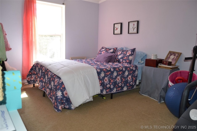 17414 Bridgeview Rd, Madill, OK 73446 - bedroom with carpet