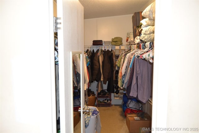 17414 Bridgeview Rd, Madill, OK 73446 - spacious closet with carpet flooring