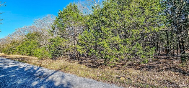 14 Larry Dr, Crowder, OK 74501 - photo 4