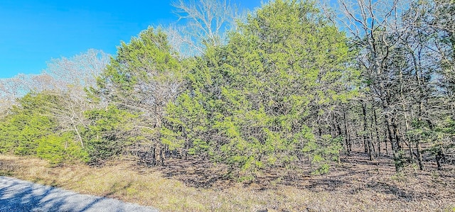 14 Larry Dr, Crowder, OK 74501 - photo 6