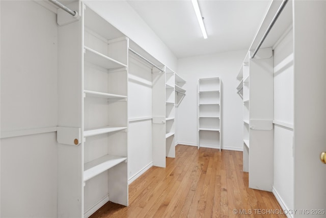 walk in closet with light wood-style flooring