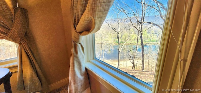 view of details