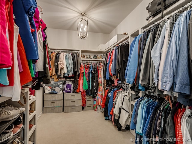 walk in closet with carpet floors