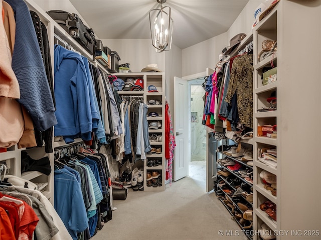 walk in closet with carpet floors