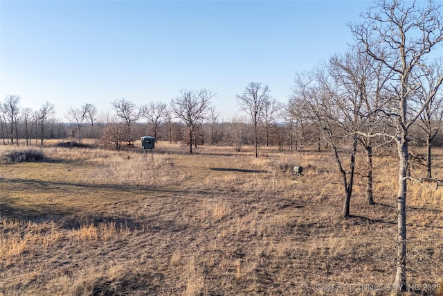 view of yard with a rural view