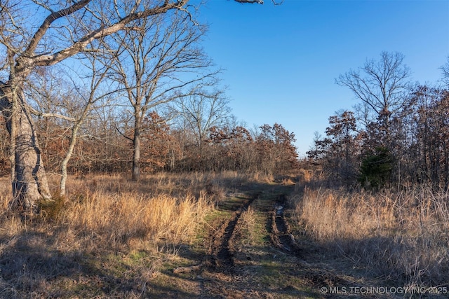 view of local wilderness