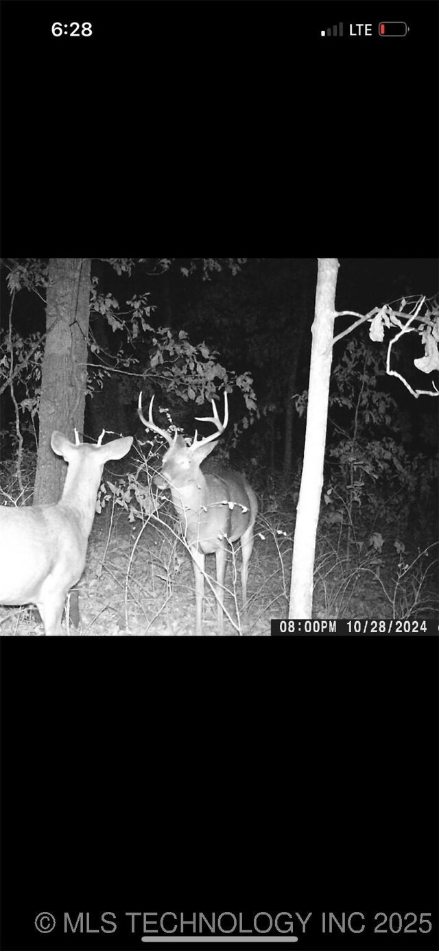 64492 E 350th Rd, Jay, OK 74346