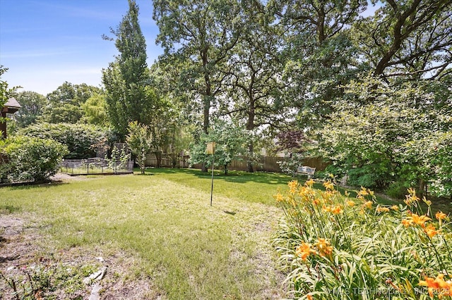 11748 S Canton Ave, Tulsa, OK 74137 - view of yard featuring a fenced backyard