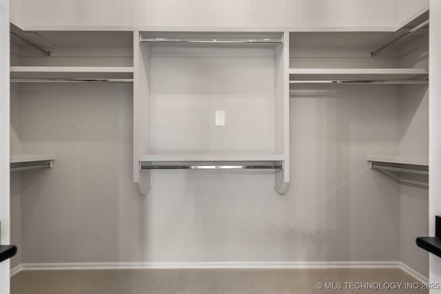 view of spacious closet