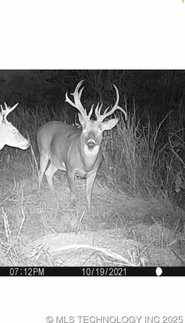 120 N 4160, Boynton, OK 74422 - photo 27