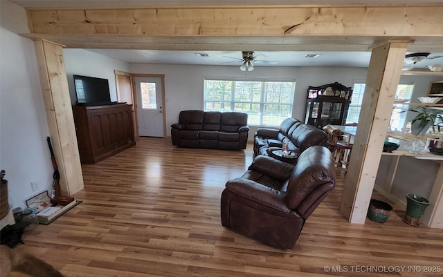 living area with wood finished floors, ceiling fan, and a healthy amount of sunlight