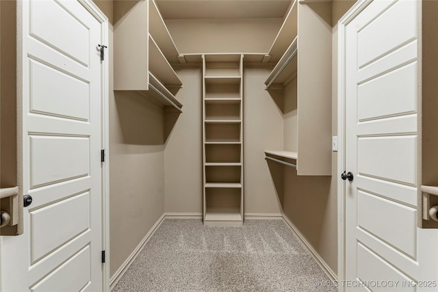 walk in closet featuring light carpet