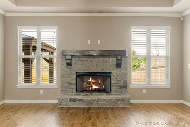 room details with a fireplace, wood finished floors, and ornamental molding